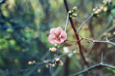 Similar image 927196