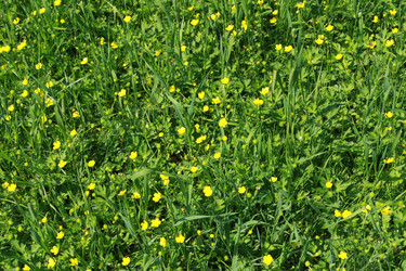 Similar image 927221