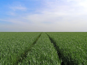 Similar image 927224