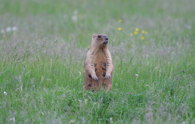 Similar image 927232