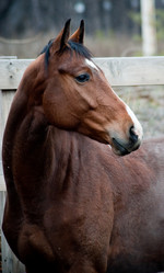 Similar image 927313