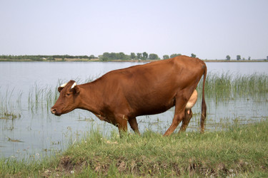 Similar image 927349