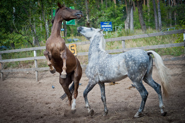 Similar image 927350