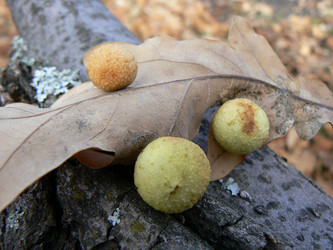 Similar image 927352