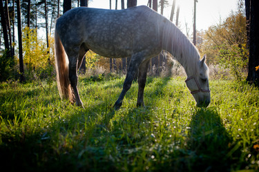 Similar image 927355