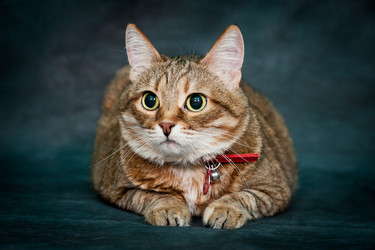 Similar image 927358