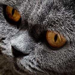 Similar image 927380