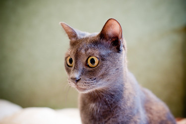 Similar image 927416