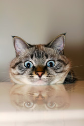 Similar image 927457