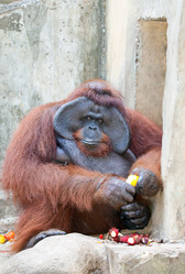 Similar image 927498