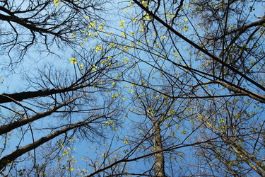 Similar image 927520