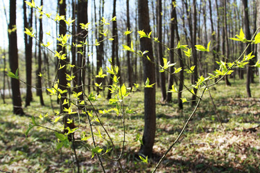 Similar image 927522