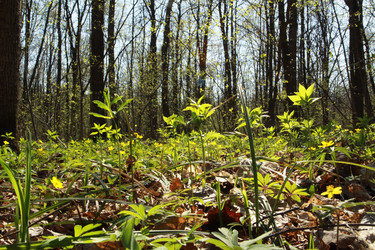 Similar image 927523