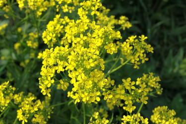 Similar image 927524