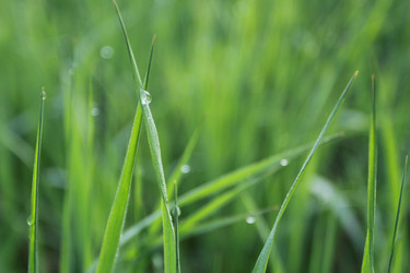 Similar image 927526