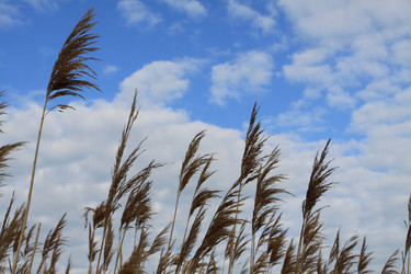 Similar image 927534