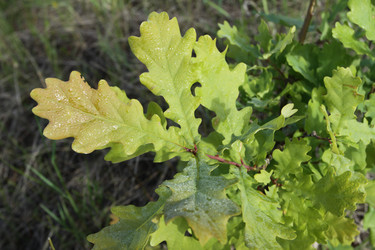 Similar image 927535