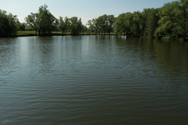 Similar image 927541