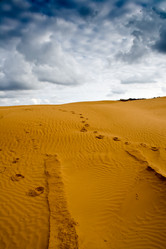 Similar image 927543