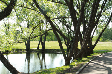 Similar image 927544