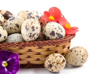 Similar image 927578