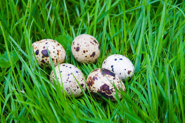 Similar image 927584