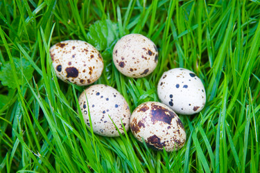 Similar image 927585