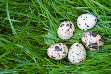 Similar image 927589