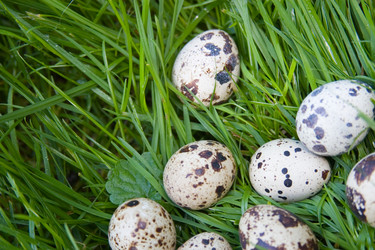 Similar image 927591