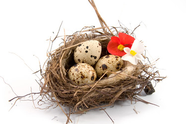 Similar image 927599