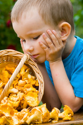 Similar image 927617