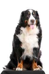 Similar image 927624