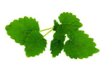 Similar image 927712