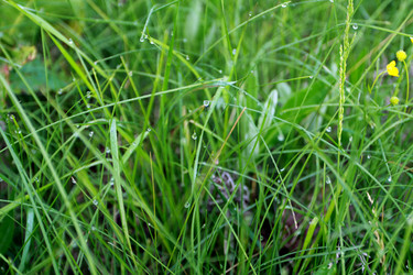 Similar image 927787