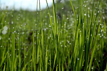 Similar image 927789