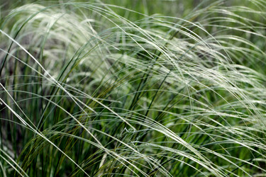 Similar image 927794