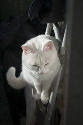 Similar image 927879