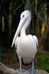 Similar image 927906