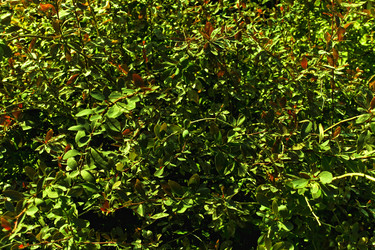 Similar image 927907