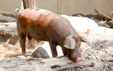 Similar image 927909