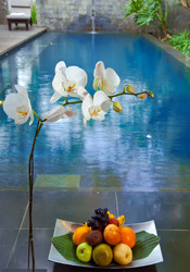 Similar image 927921