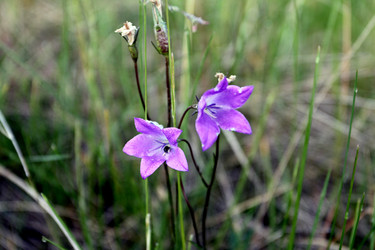 Similar image 927928