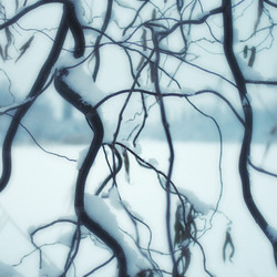 Similar image 927936