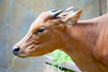 Similar image 927937