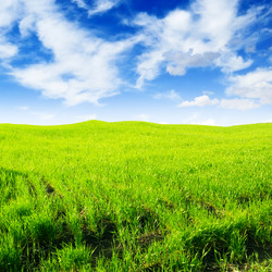 Similar image 927990