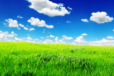 Similar image 927992