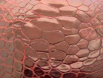 Similar image 927998