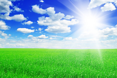 Similar image 928000