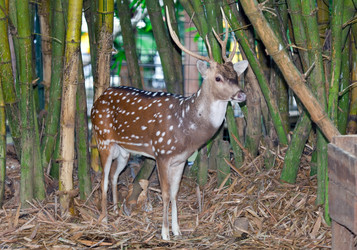 Similar image 928025