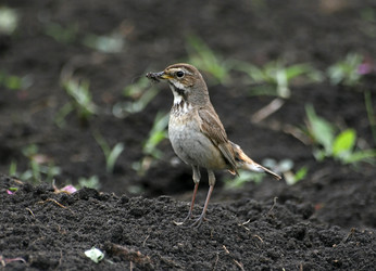 Similar image 928101